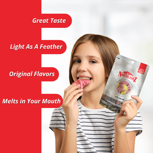 NORTHLANDZ Freeze Dried ICE CREAM - 10 Bags